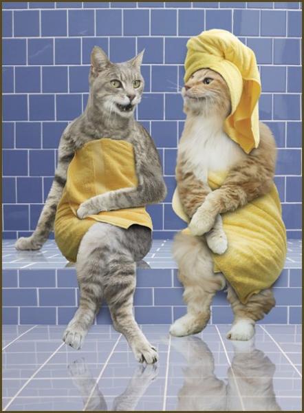 Une sauna mon cheri??